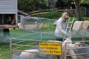 Selectie201562